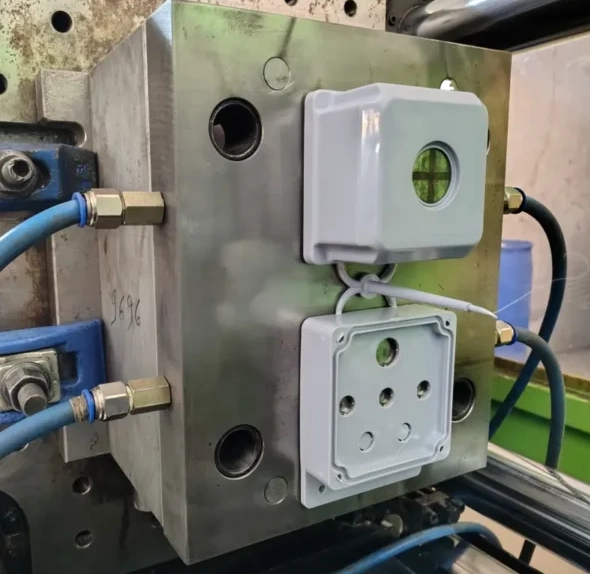 Final-Trial of enclosure